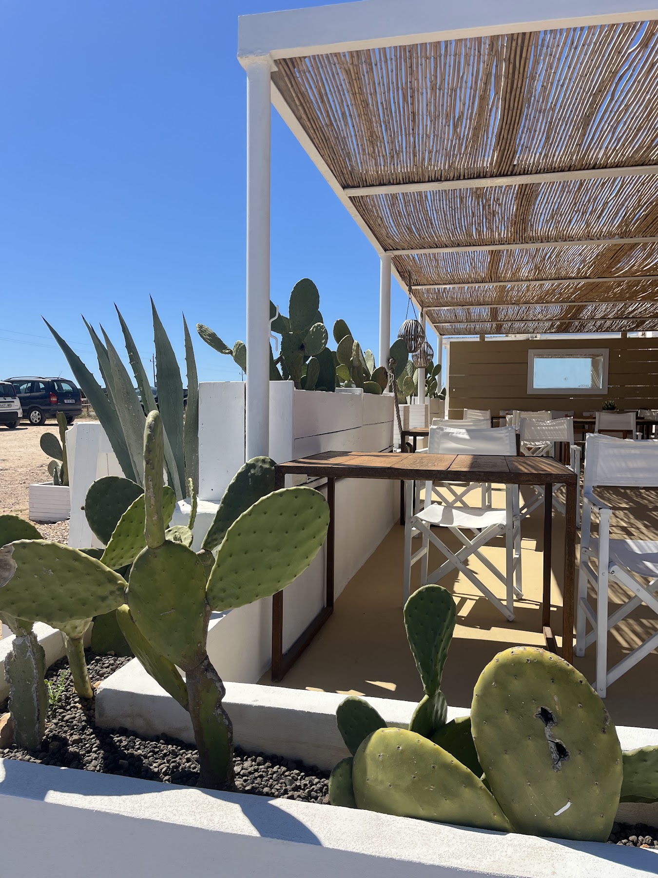 Formentera trip photo 4