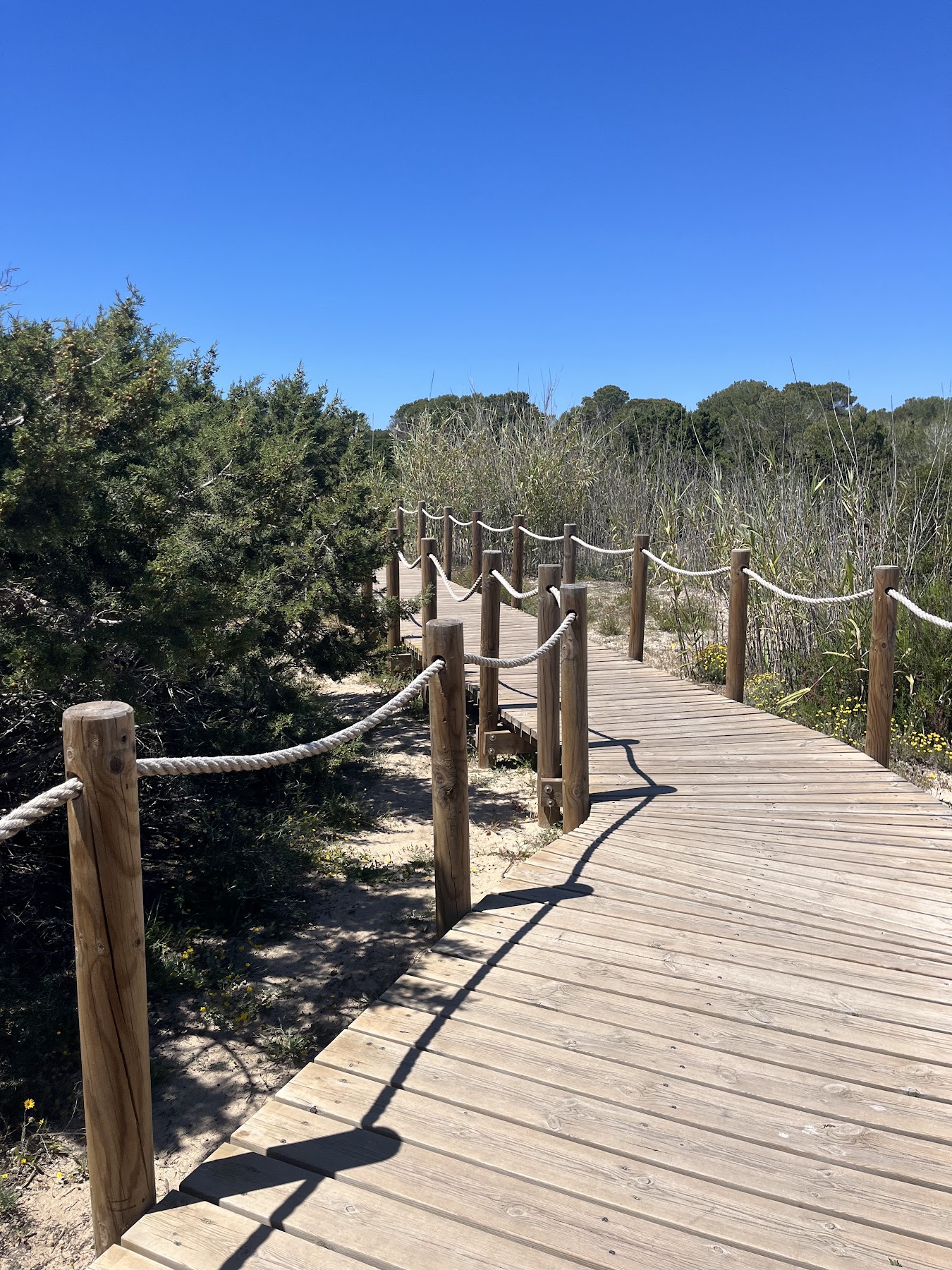 Formentera trip photo 6
