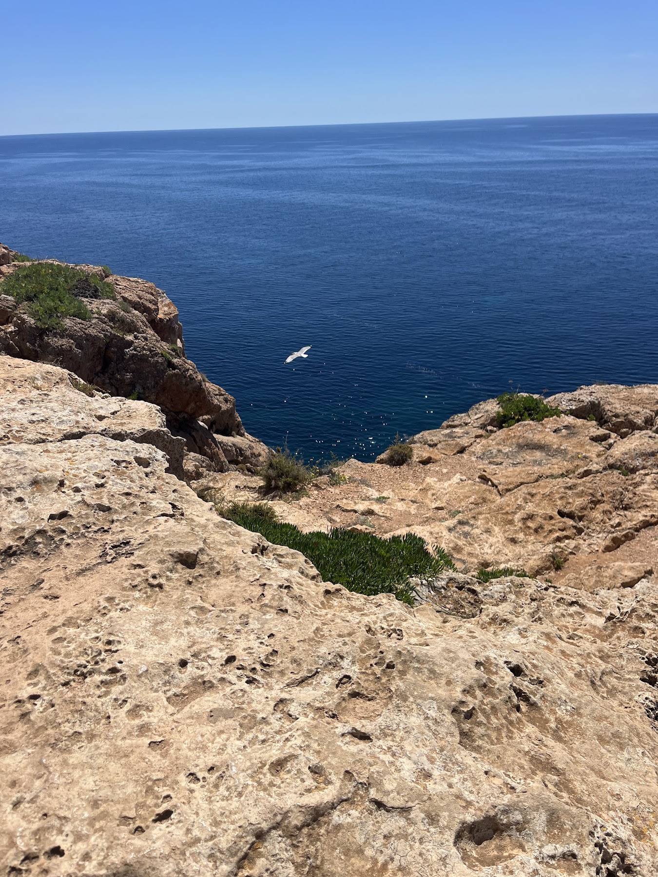 Formentera trip photo 21