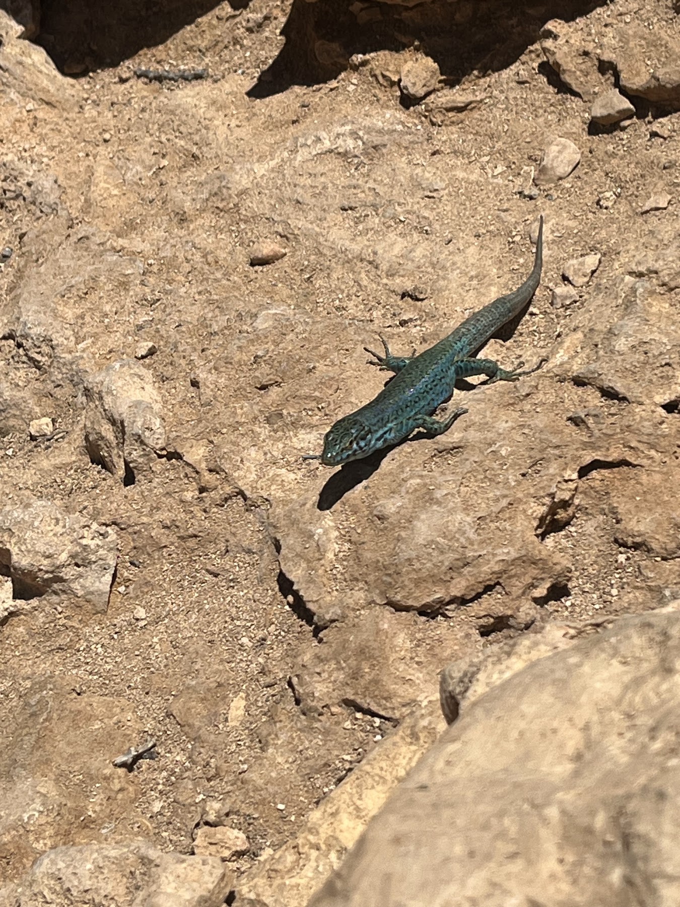 Formentera trip photo 35